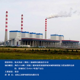 恒天海龙(潍坊)新材料有限责任公司
