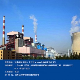 济南锅炉集团(土耳其30MW生物质发电T程)